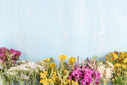 Bundles of medicinal herbs on a blue wooden background, alternative medicine and herbal treatment concept, copy space, place for text.