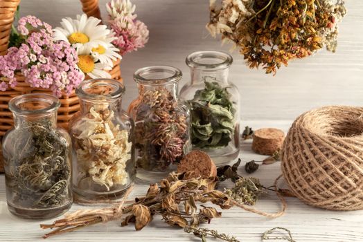 Drying and harvesting of medicinal herbs, homeopathy and alternative medicine concept.