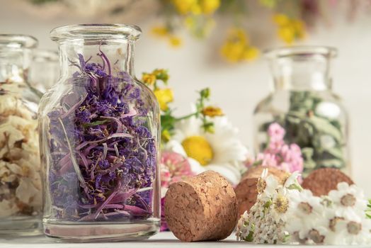 Drying and harvesting of medicinal herbs, homeopathy and alternative medicine concept.