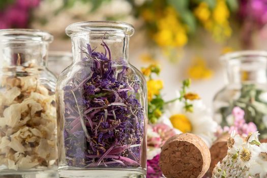 Drying and harvesting of medicinal herbs, homeopathy and alternative medicine concept.
