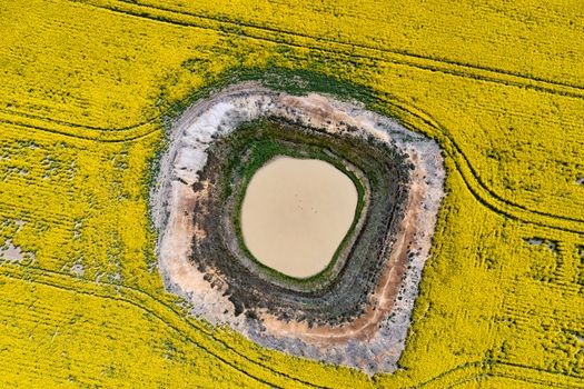 Aerial canola field views and a dam with very low water levels after very little rain, dry conditions in rural outback Australia