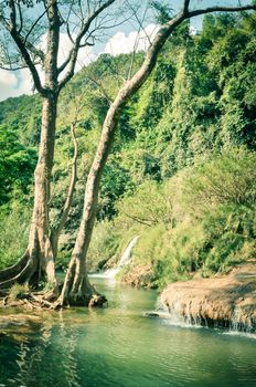 Grand mountain landscape of tree lush greenery and white curtain flowing in Dai Yem (Pink Blouse) waterfall, Moc Chau, Son La, Vietnam. Primeval scene of the early days of life on earth