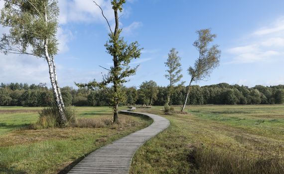 a winding wooden hiking trail through nature in the Veluwe near Epe