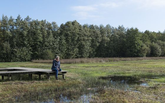 mature woman is resting in nature on a wooden platform in the Veluwe nature reserve in the Netherlands