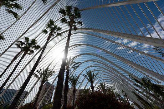 Valencia - the city of arts and Sciences, Valencia, Spain