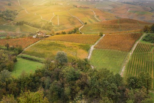 Barolo wine region, Langhe, Piedmont, Italy