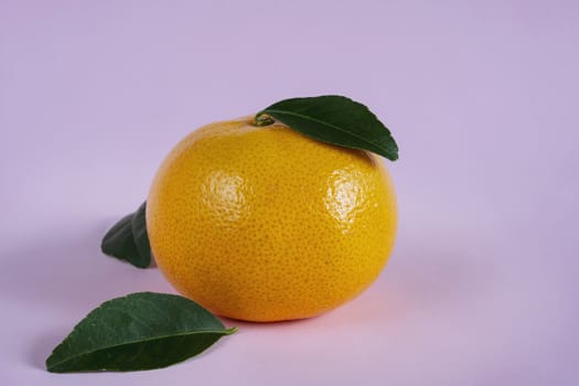 Fresh juicy orange fruit set over light pink background - tropical orange fruit for background use