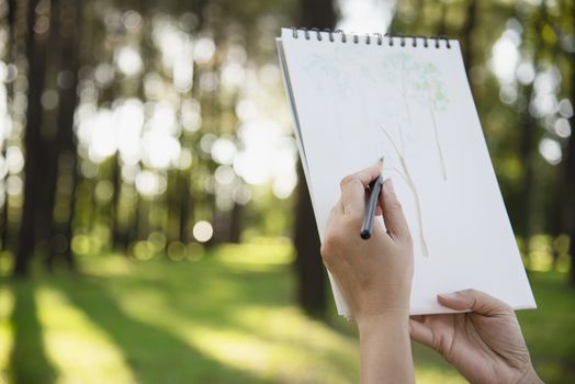 Relax woman painting water colour art work in green garden forest nature - people with creative art in nature stress reduction and meditation concept