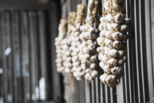 Dry garlic hanging in local kitchen wooden wall - old traditional kitchen Northern Thailand style