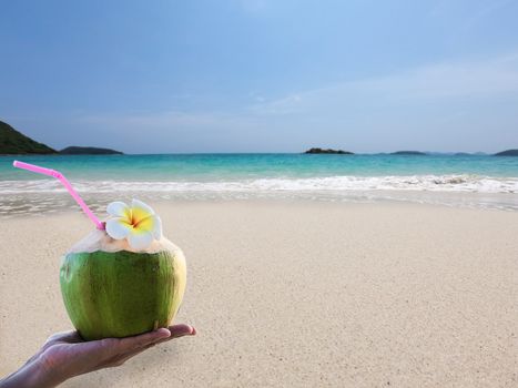 Fresh coconut in hand with plumeria decorated on beach with sea wave background - tourist with fresh fruit and sea sand sun vacation background concept