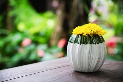 Fresh colorful flower in a small ceramic pot - colorful flower decoration pot for background use concept