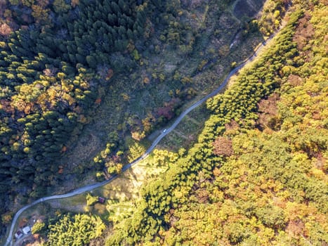 The colourful leaves in Autumn at Risshaku Temple of Yamagata,Japan.