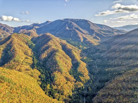 The colourful leaves in Autumn at Risshaku Temple of Yamagata,Japan.