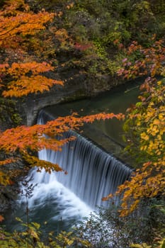 The colourful leaves in Autumn at Naruko Gorge, Osaki, Miyagi, Japan