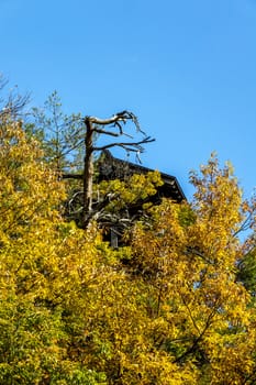 The colourful leaves in Autumn at Risshaku Temple of Yamagata,Japan.