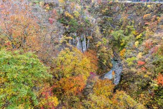 The colourful leaves in Autumn at Naruko Gorge, Osaki, Miyagi, Japan