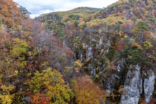 The colourful leaves in Autumn at Naruko Gorge, Osaki, Miyagi, Japan