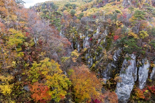 The colourful leaves in Autumn at Naruko Gorge, Osaki, Miyagi, Japan