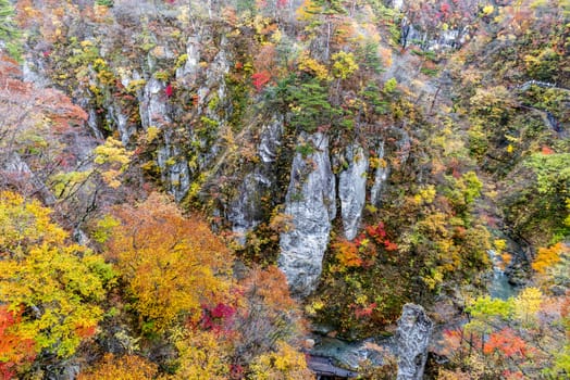 The colourful leaves in Autumn at Naruko Gorge, Osaki, Miyagi, Japan