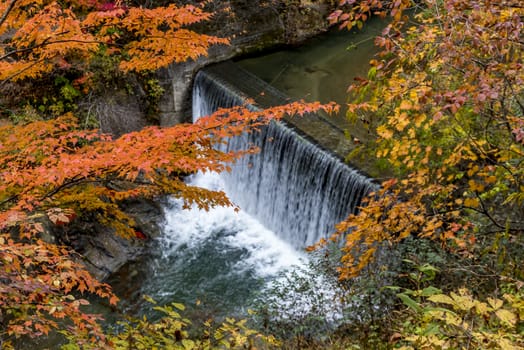 The colourful leaves in Autumn at Naruko Gorge, Osaki, Miyagi, Japan