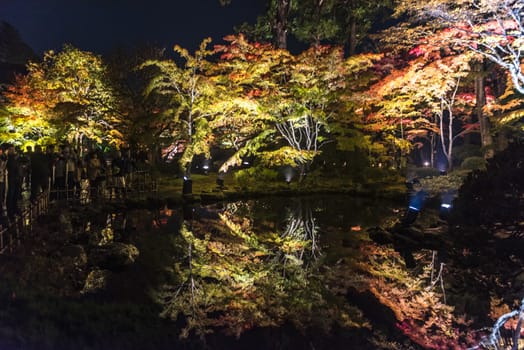 The noght view of the colourful leaves in Autumn at the Entsuin  Temple of Miyagi, Japan.