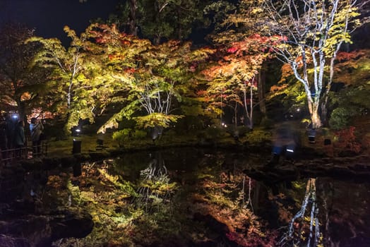 The noght view of the colourful leaves in Autumn at the Entsuin  Temple of Miyagi, Japan.