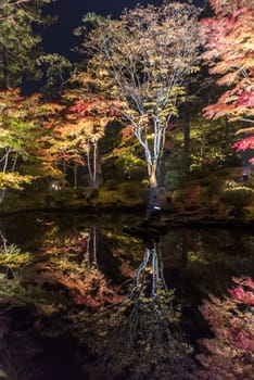 The noght view of the colourful leaves in Autumn at the Entsuin  Temple of Miyagi, Japan.