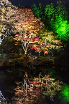 The noght view of the colourful leaves in Autumn at the Entsuin  Temple of Miyagi, Japan.