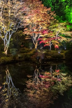 The noght view of the colourful leaves in Autumn at the Entsuin  Temple of Miyagi, Japan.