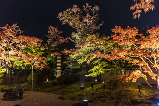 The noght view of the colourful leaves in Autumn at the Entsuin  Temple of Miyagi, Japan.