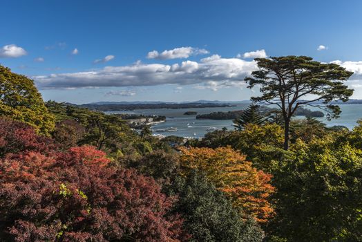 The colourful leaves in Autumn at Saigyo Modoshi no Matsu Park of Miyagi, Japan.