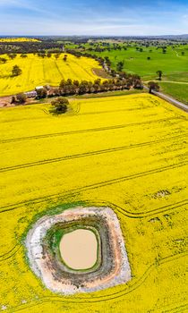 Sweeping panoramic aerial views over rural countryside showing, canola in bloom and dstant grazing pastures.  Dams and waterholes low from drought conditions.