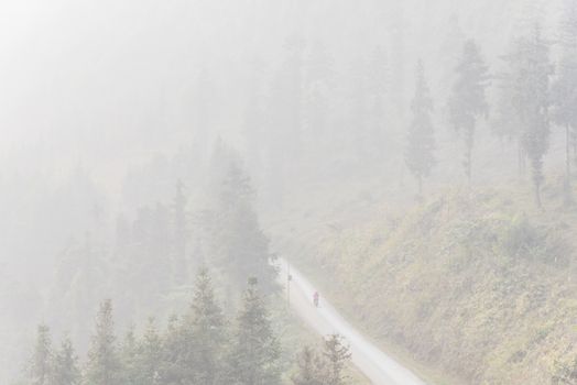 Aerial view lonely Asian lady riding a motorbike thru the foggy mountain road in the North Vietnam. Vietnamese woman on warm clothes and helmet driving motorcycle near pine tree forest