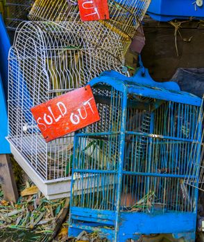 bird cages in closeup with sold out sign, Pet trade in Asia, Animal shop background