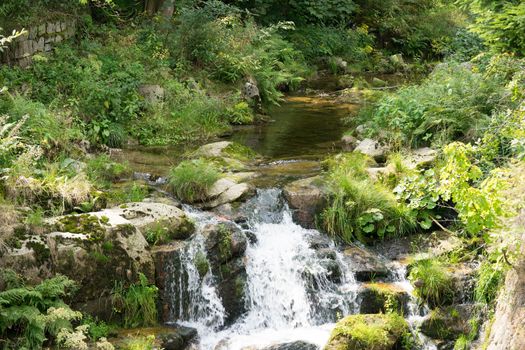 A stream in the mountains. Karpacz. Poland