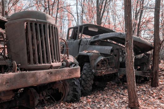 abandoned rusty army military truck in the Chernobyl forest Ukraine
