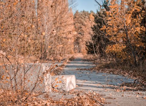 deserted street in the abandoned city of Chernobyl Ukraine in autumn