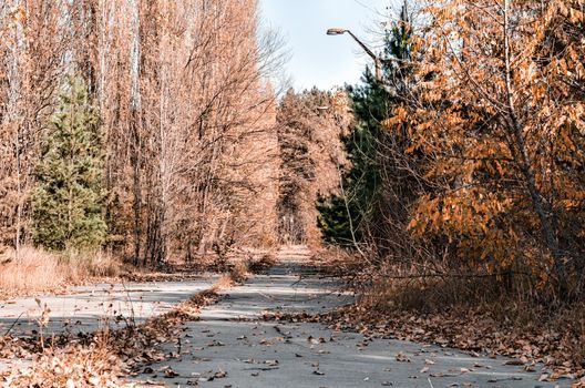 no people on the street in the abandoned city of Chernobyl Ukraine in autumn