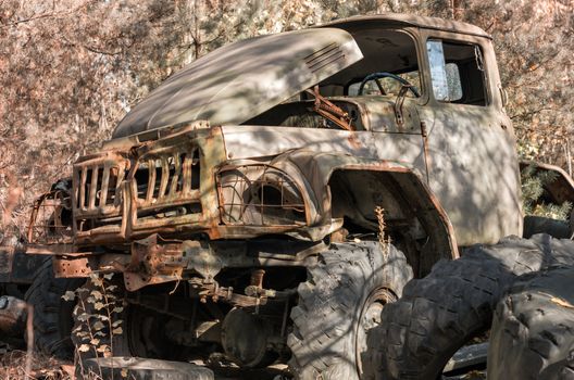 cabin and wheels abandoned rusty army truck in the forest in Chernobyl Ukraine