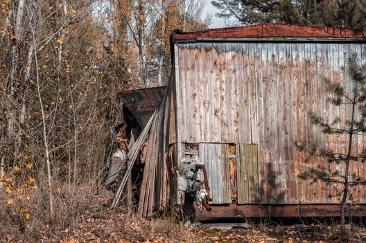 ruins wooden house with trees and bushes Chernobyl Ukraine in autumn