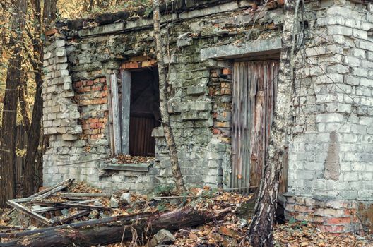 ruins of an old brick house and trees in Chernobyl Ukraine in autumn