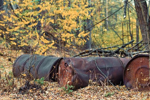 barrels of chemical waste in the forest in Chernobyl Ukraine in autumn