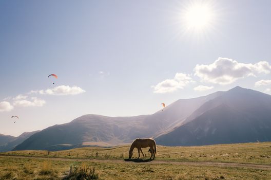 background landscape horse near the mountain and paratroopers in the sky in Georgia on an autumn day