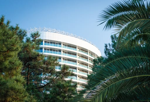 background modern hotel building among green branches of palm trees and spruce in Georgia Batumi