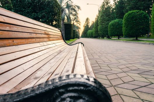 wooden bench in a public park with palm trees and green trees in Batumi Georgia in the evening