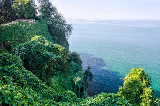 background panoramic view landscape sea and mountains with green forest in Georgia in autumn