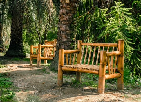relax background public park with palm trees and bamboo benches