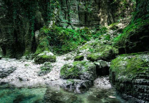 coast mountain river of high stone cliffs with green plants in Martville Canyon in Georgia in autumn