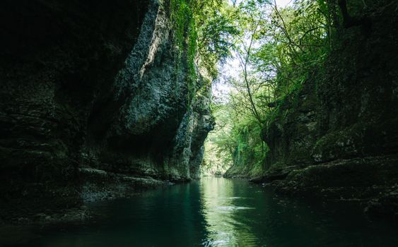mountain river among stone rocks with green plants in the Martvili Canyon in Georgia in autumn