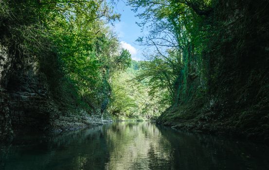 mountain river among stone rocks with green plants in the Martvili Canyon in Georgia in autumn